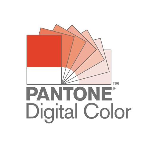 pantone网站