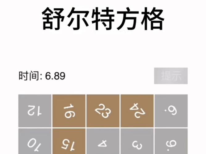 舒尔特方格安装