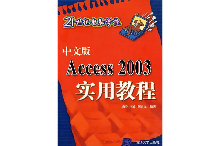 access2003中文版教程