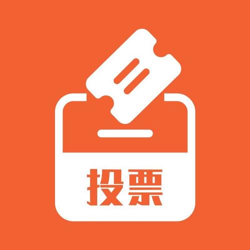投票助手