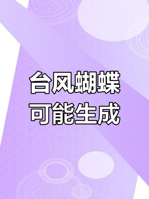 2025年1号台风蝴蝶
