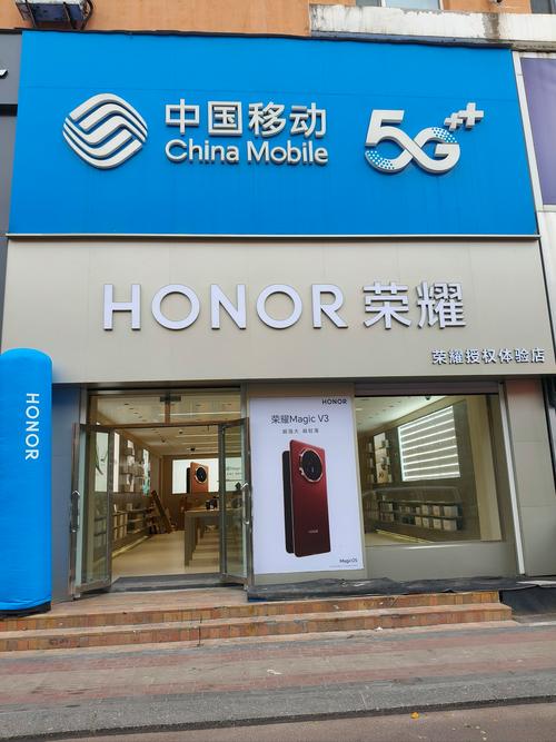 荣耀主题商店安装入口