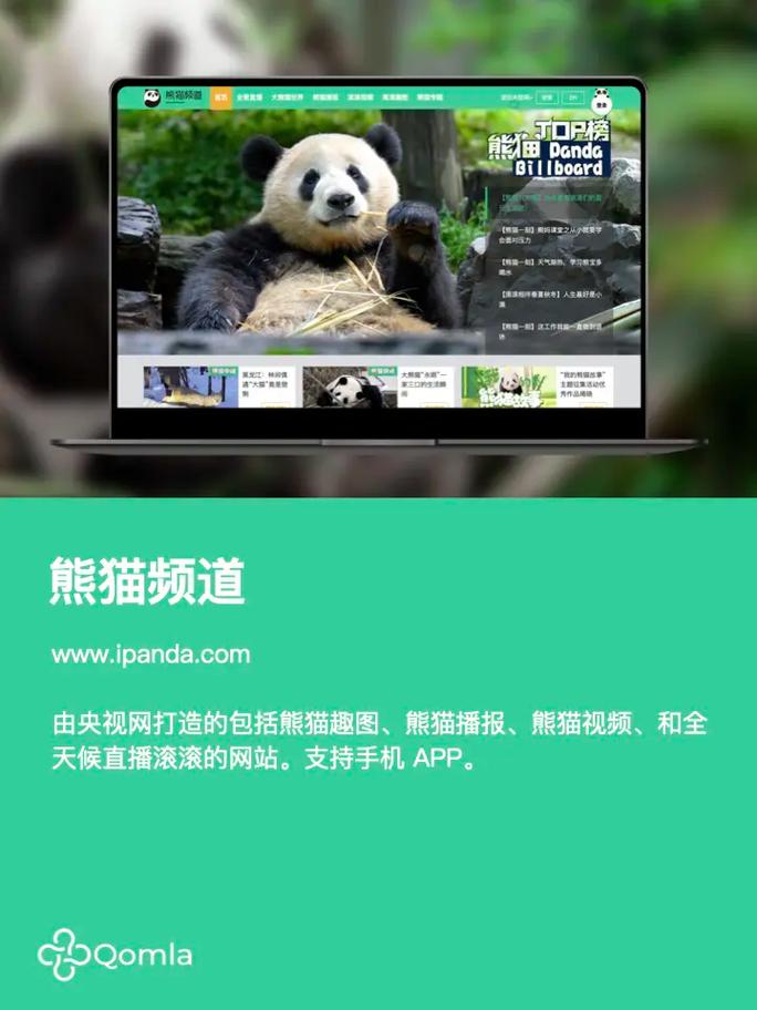 ipanda熊猫频道2024年最新版免费观看