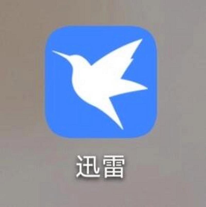 迅雷网盘在线观看资源