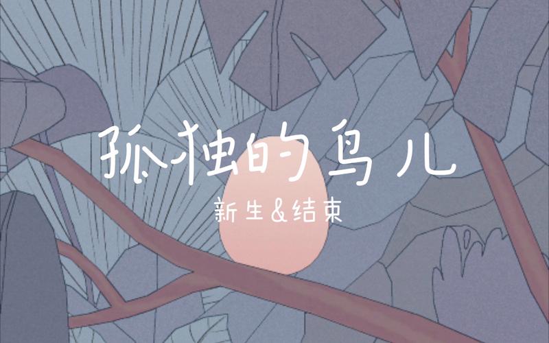 孤独的鸟儿正版