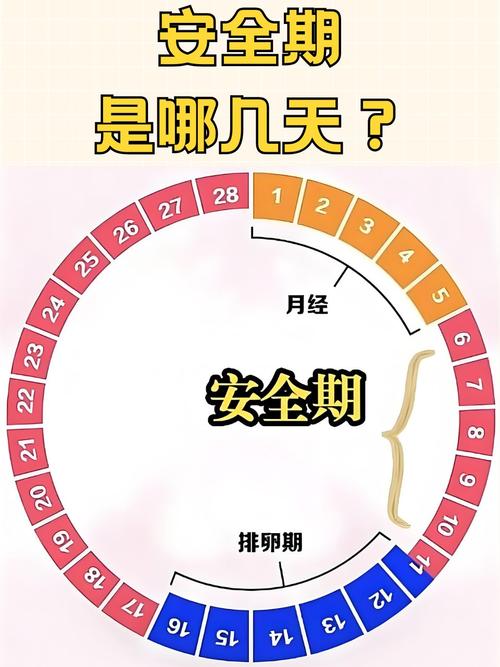 30天安全期图表