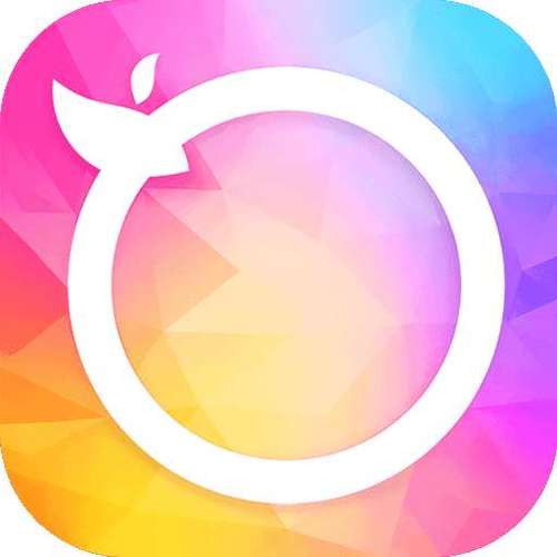 壁纸精灵app官网入口