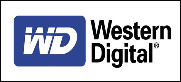WD Repair Professional