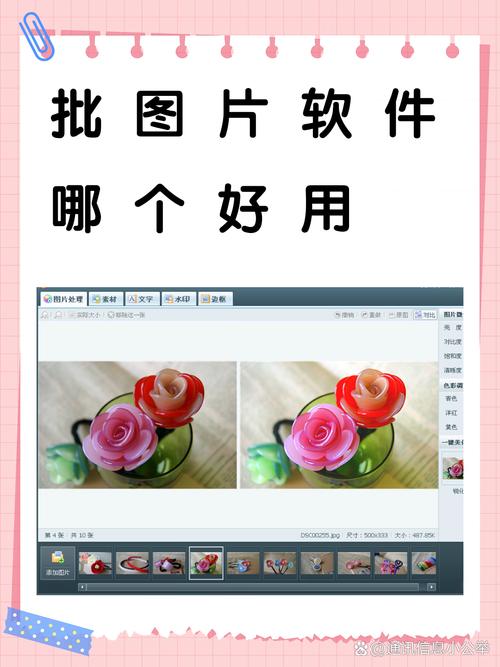 批图神器安卓版最新版本更新内容