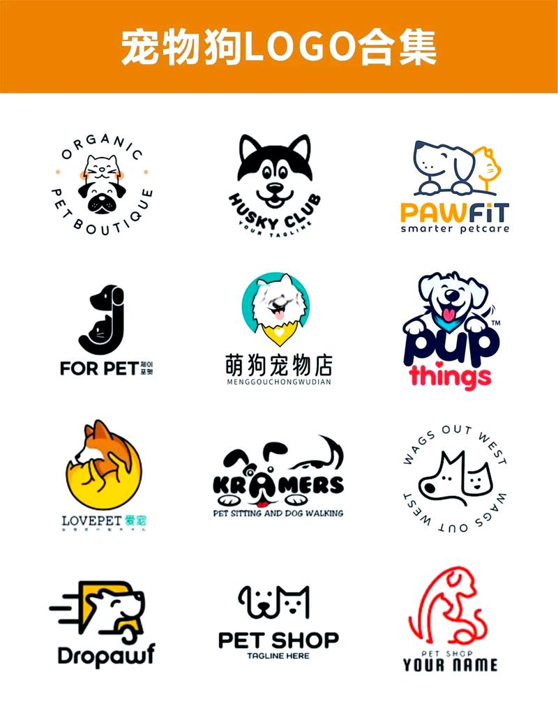 狗狗狗的视频