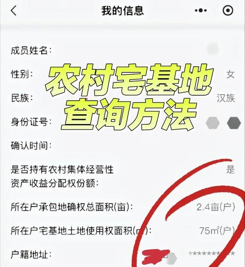 宅基地地图查询用什么软件
