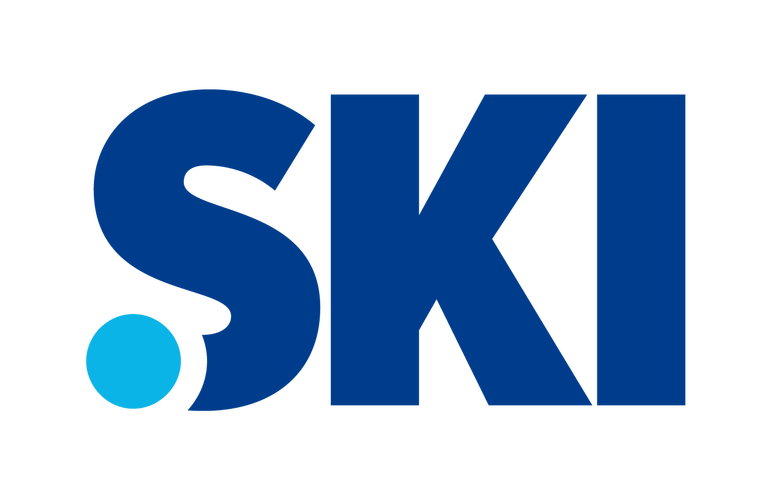 skidsense手机版