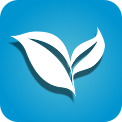 叶子影院APP