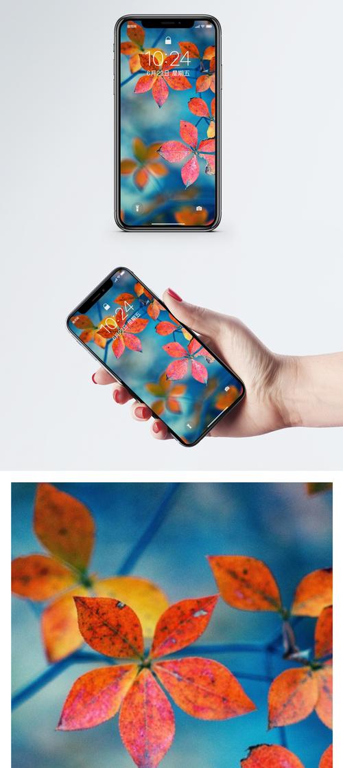 秋意滤镜其他手机可以用吗