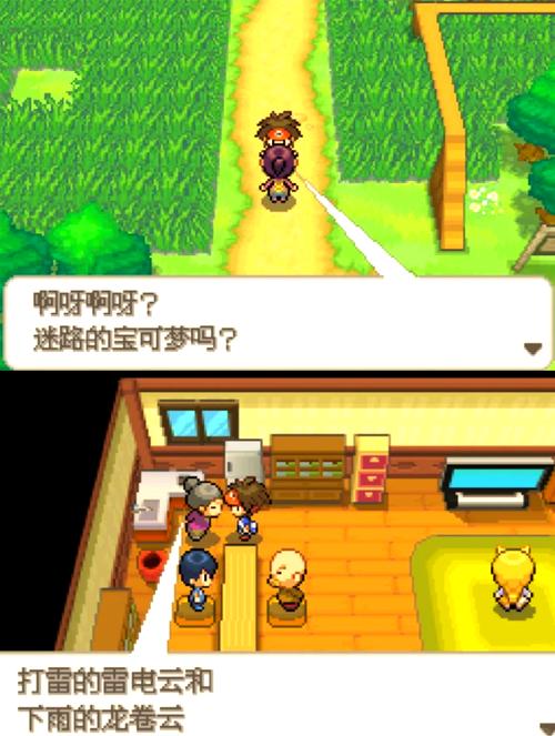 口袋妖怪NDS版本合集