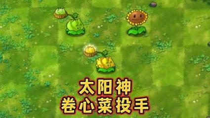 植物大战僵尸变态版无限太阳