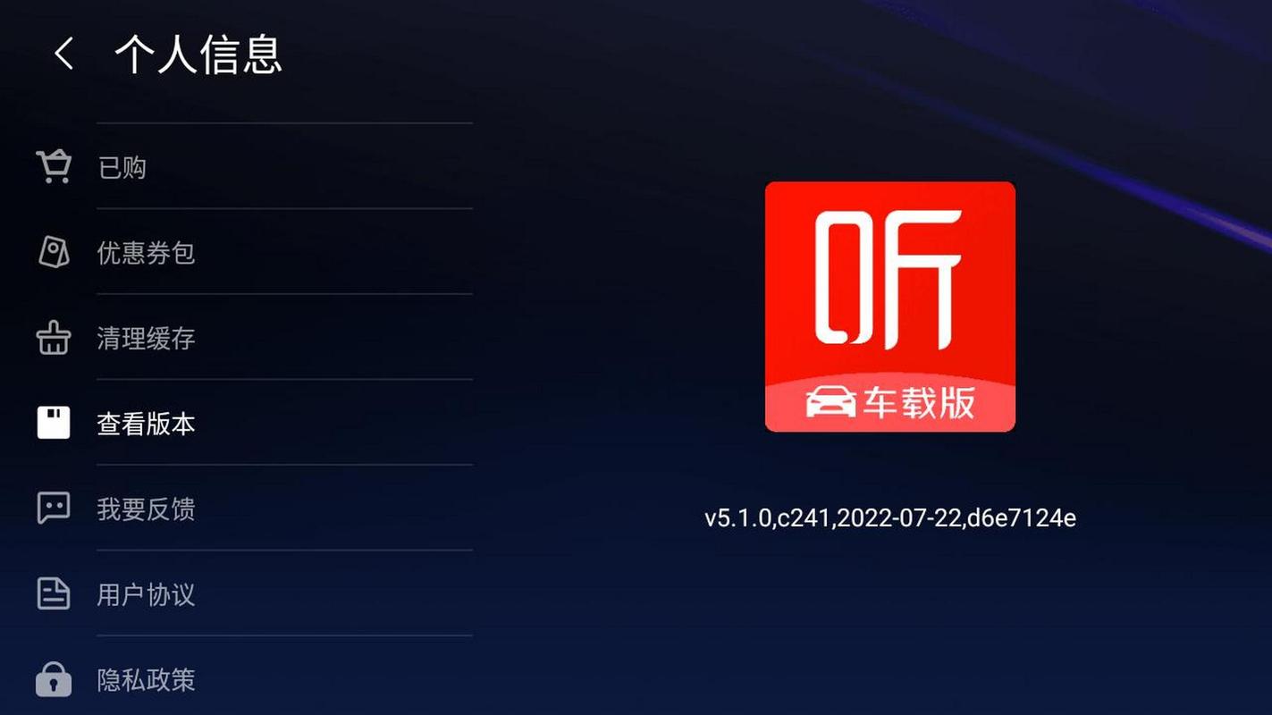 收音机车机版apk