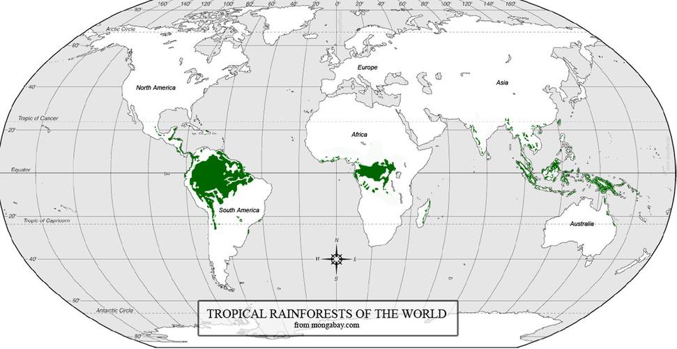 世界雨林分布图