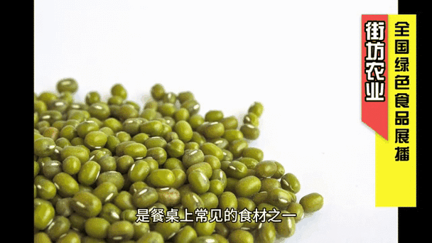 绿豆动态壁纸打不开