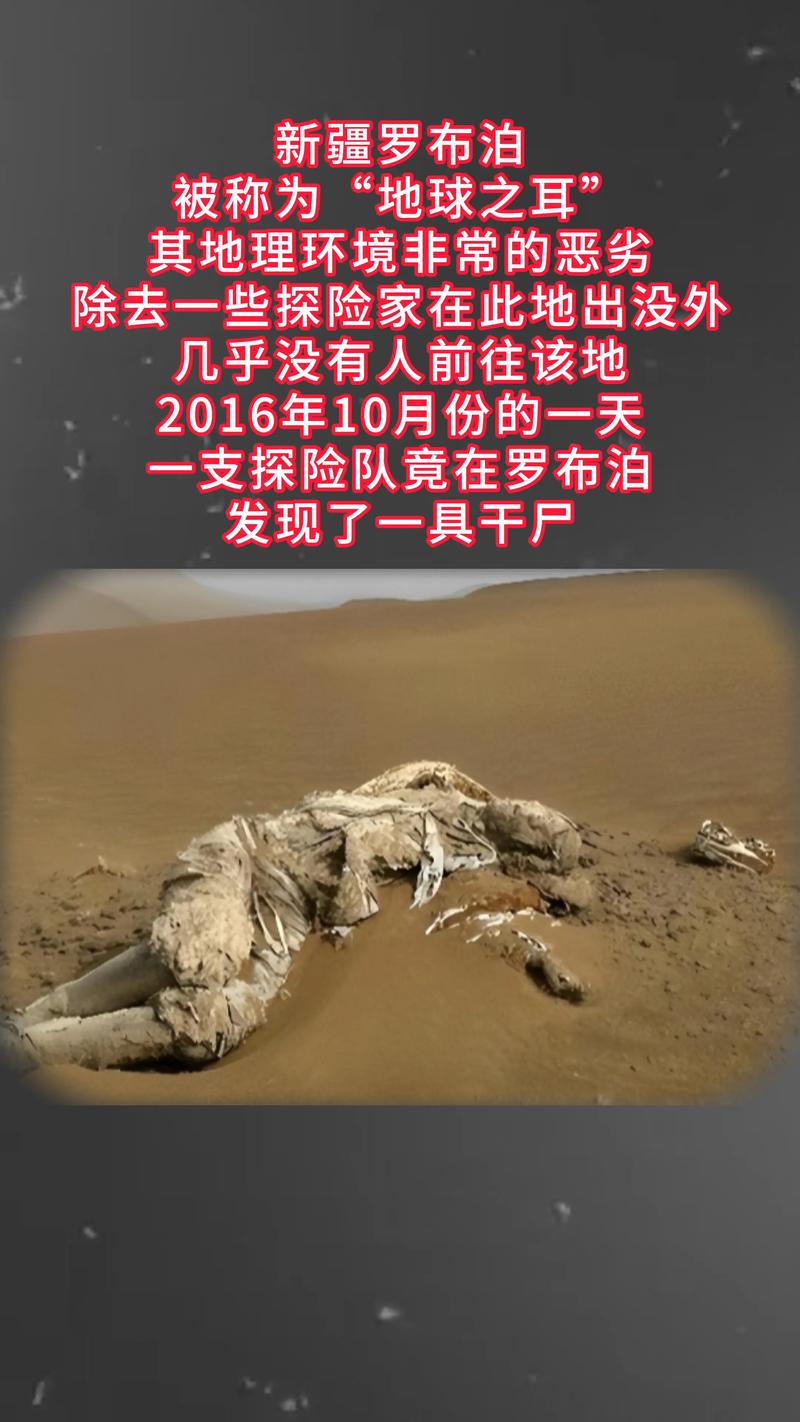 罗布泊惊现一具干尸
新