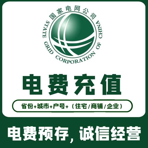 网上国网交电费安装