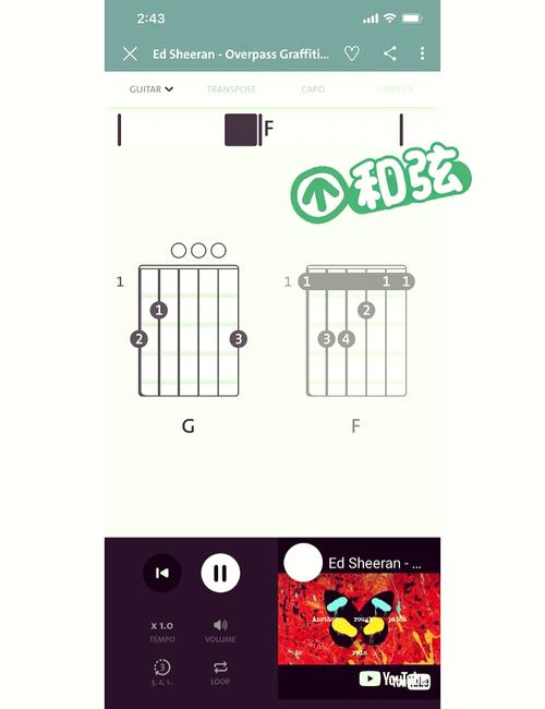 吉他教程v1.1.1安卓版安装