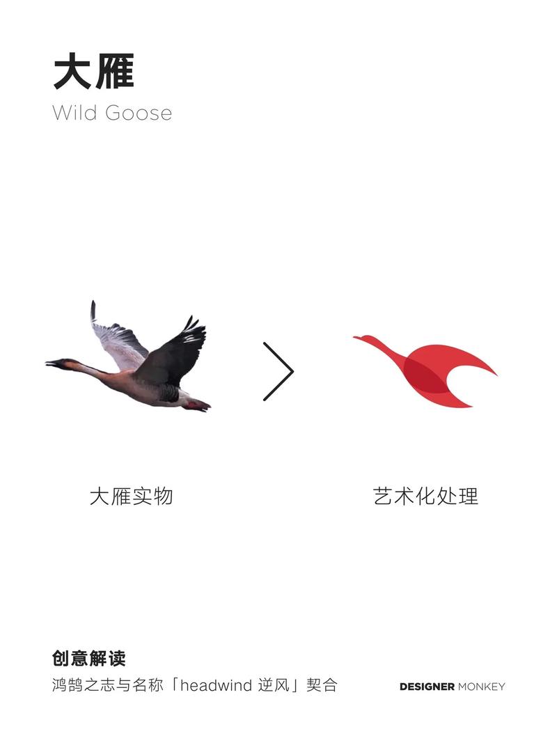 白雁看点平台