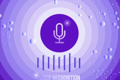 伪音变声器