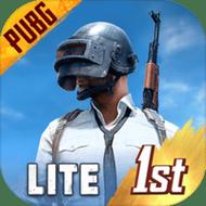 北辰pubg轻体直装v17