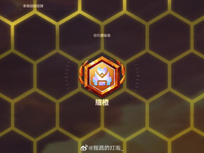 王者荣耀惊雷辅助