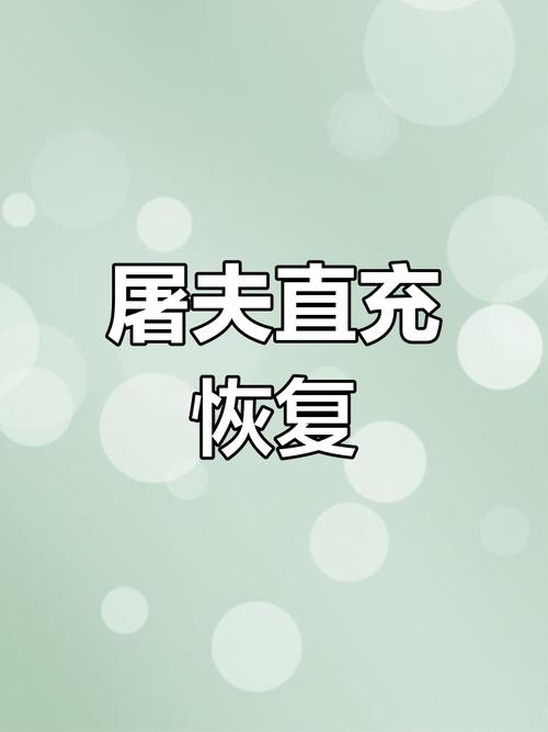 屠夫直充(修复版)2023