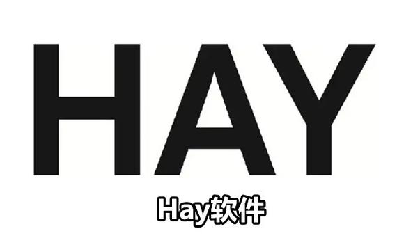 Hay下载安卓版