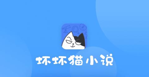坏坏猫搜索破解
