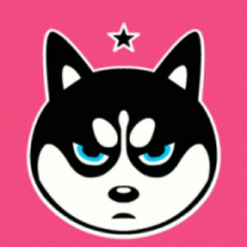 二哈玩机