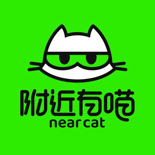 养猫达人