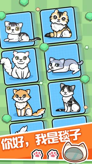 养猫达人红包版v1.0