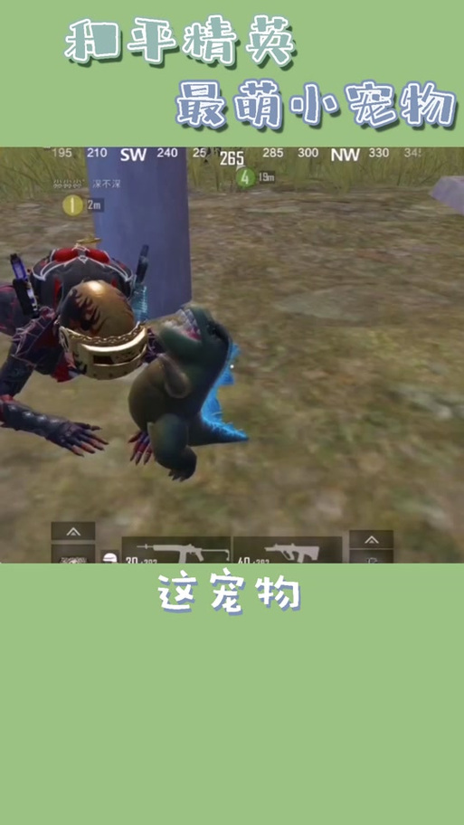 pubg独角鲸国体