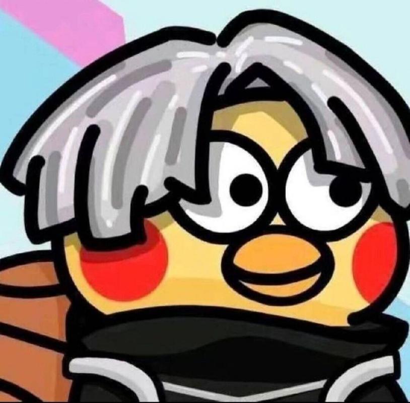 鸡你太美辅助最新版
