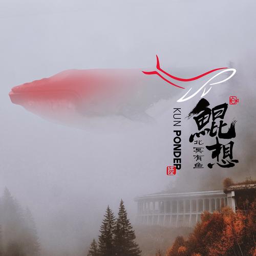鲲弩小说