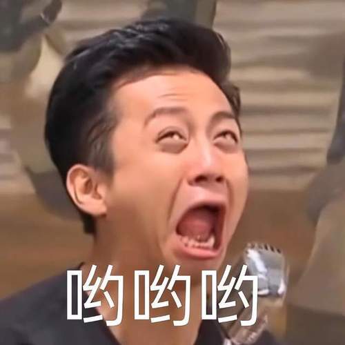 邓超你把你兄弟推给我表情包缩略图