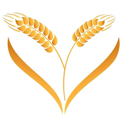 麦秀app