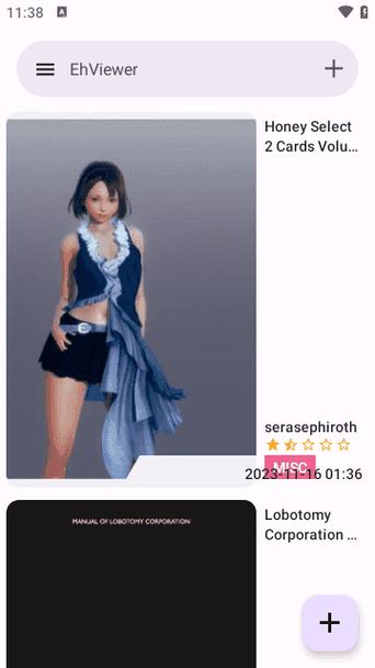 EHVIEWER彩色