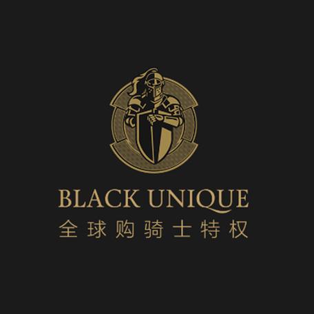 全球购骑士特权v1.0