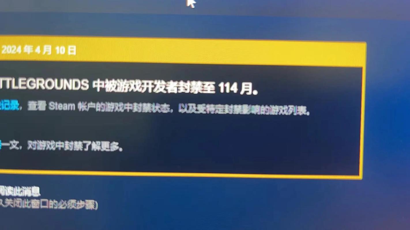 游戏辅助框架防封pubg游戏截图