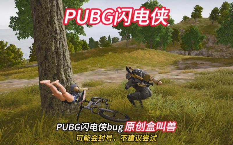 pubg国际服闪电侠辅助游戏截图