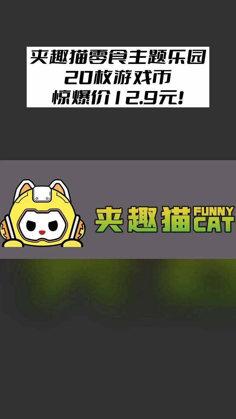 趣猫玩