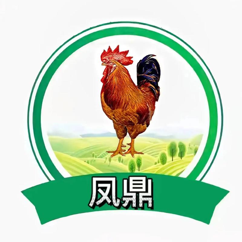 鸡仙rights reserved截图