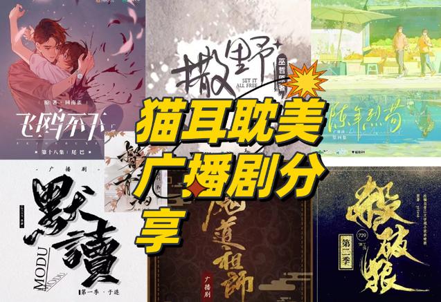 耽美小说广播剧安卓版