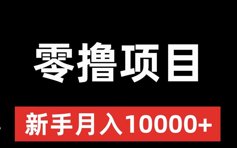 零撸项目