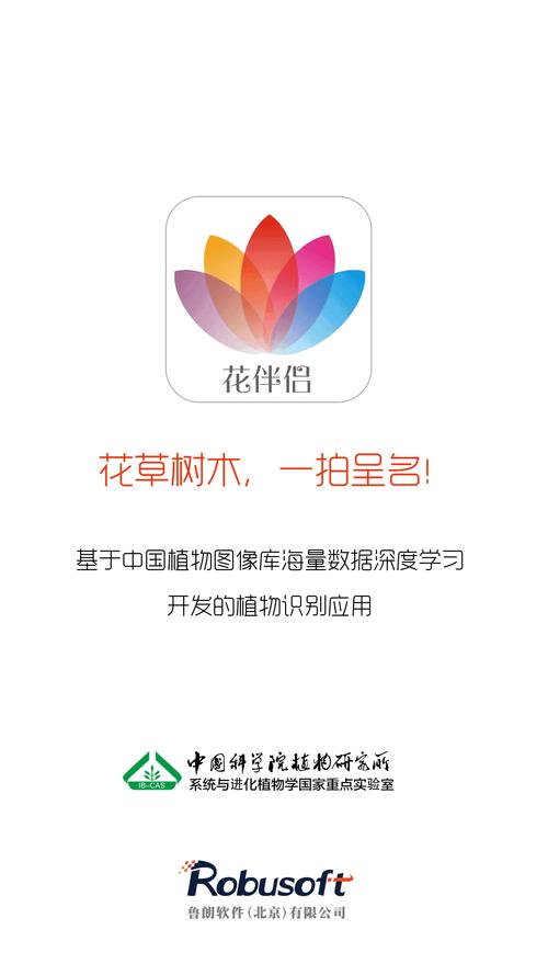 情花交友